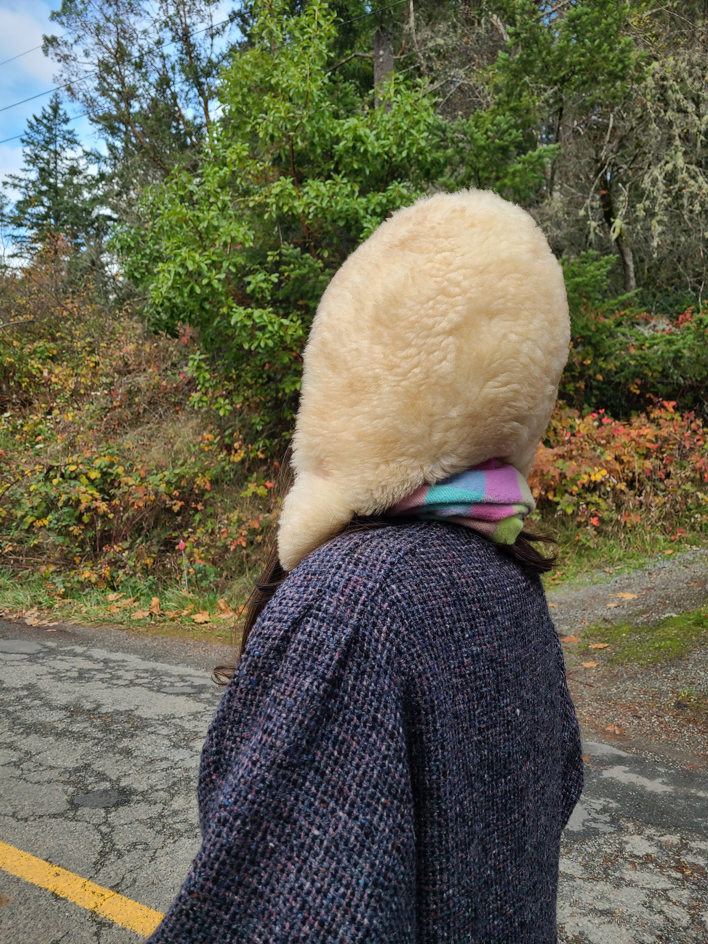The Sheepskin Space Helmet