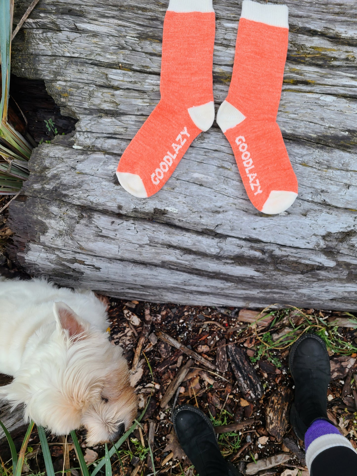 The GoodLazy Merino Wool Hiking Sock - Lavender