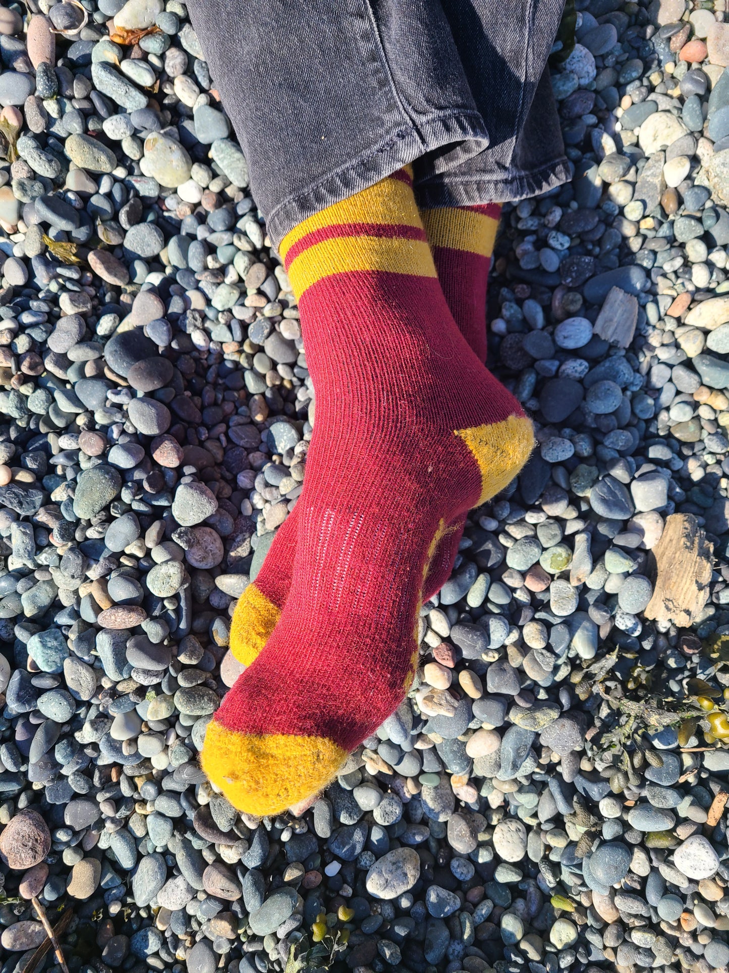 The GoodLazy Merino Wool Mid Crew Sock - Black