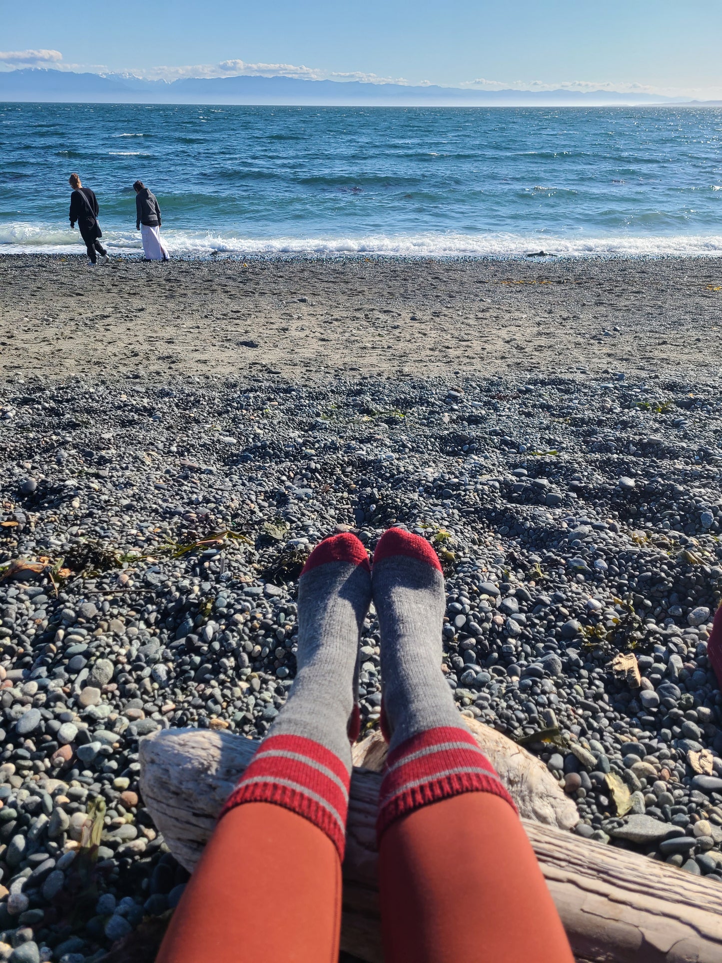 The GoodLazy Merino Wool Mid Crew Sock - Ketchup and Mustard