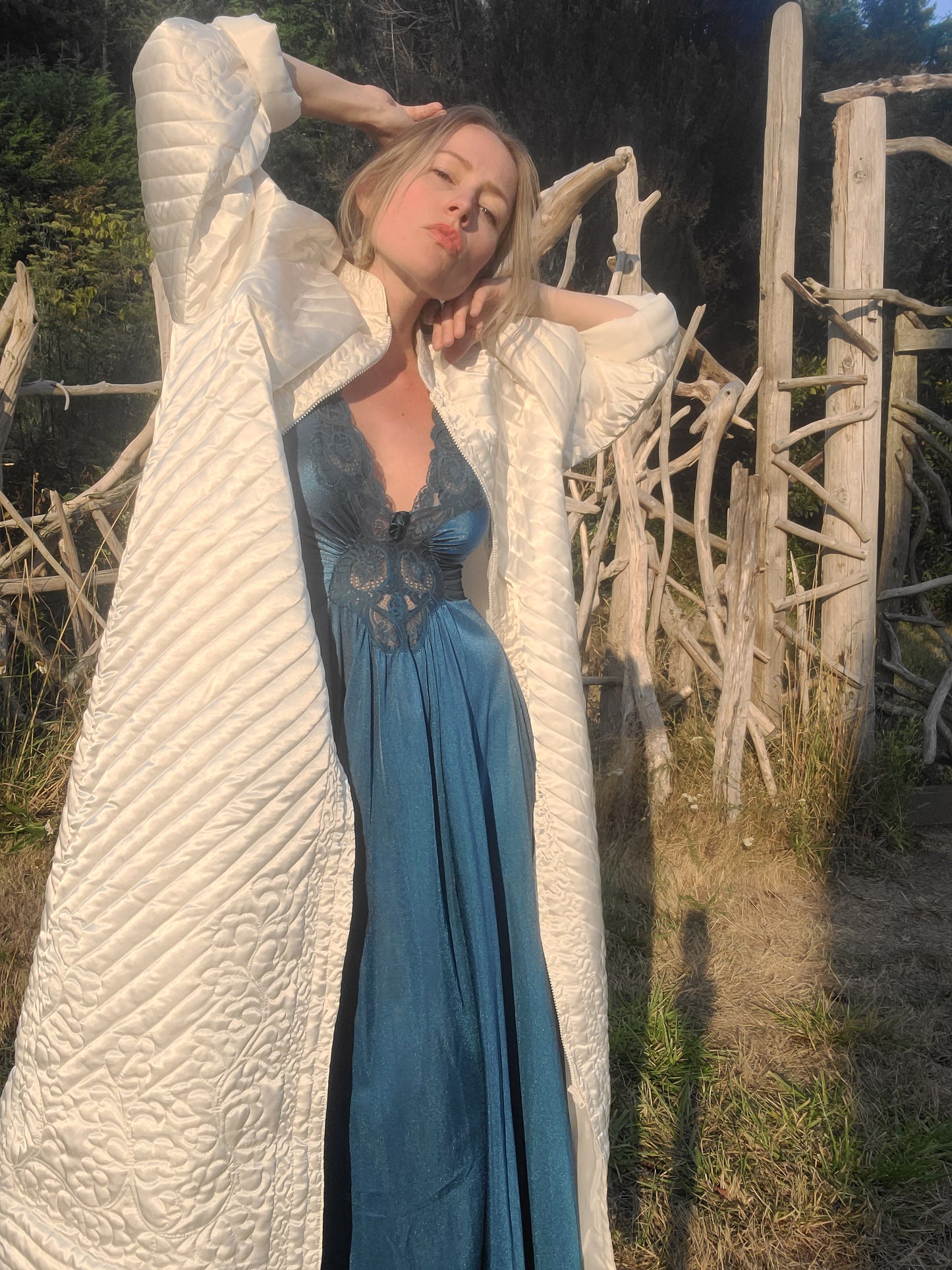The 1970s Olga Butterfly Lace Nightgown M