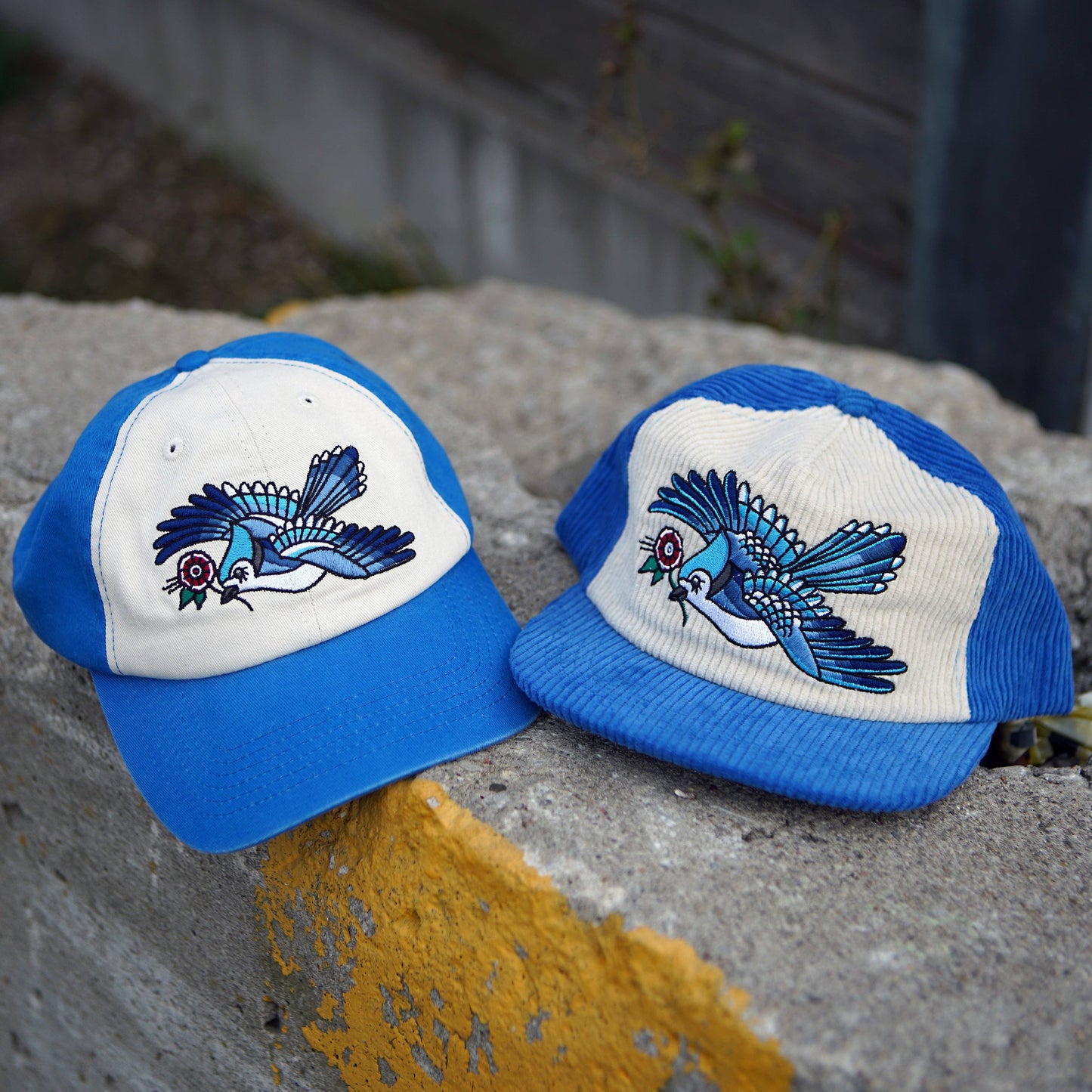 Blue Jay Two-Tone Corduroy Hat