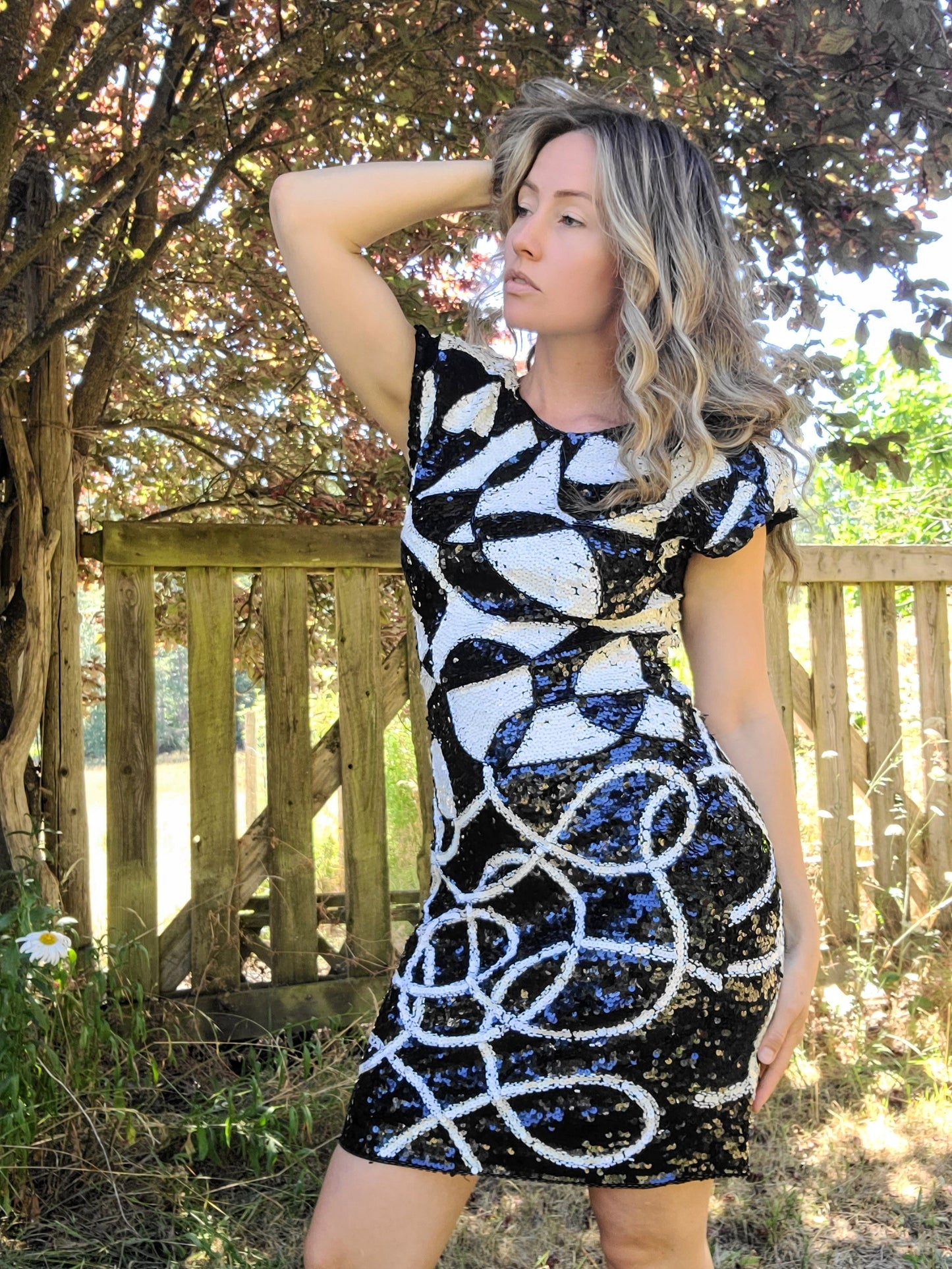 The Tadashi Shoji Black and White Sequin Party Dress