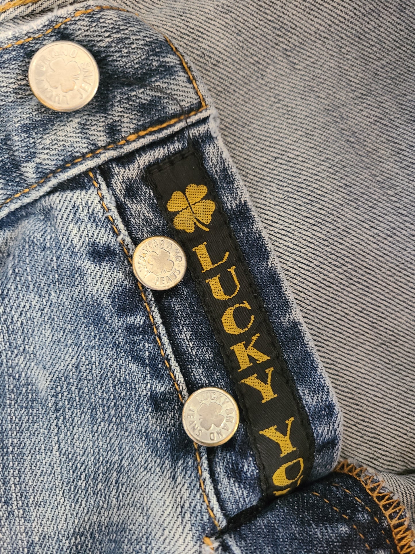 The Thrashed Lowrider Y2K American Made Lucky Brand Dungarees 30
