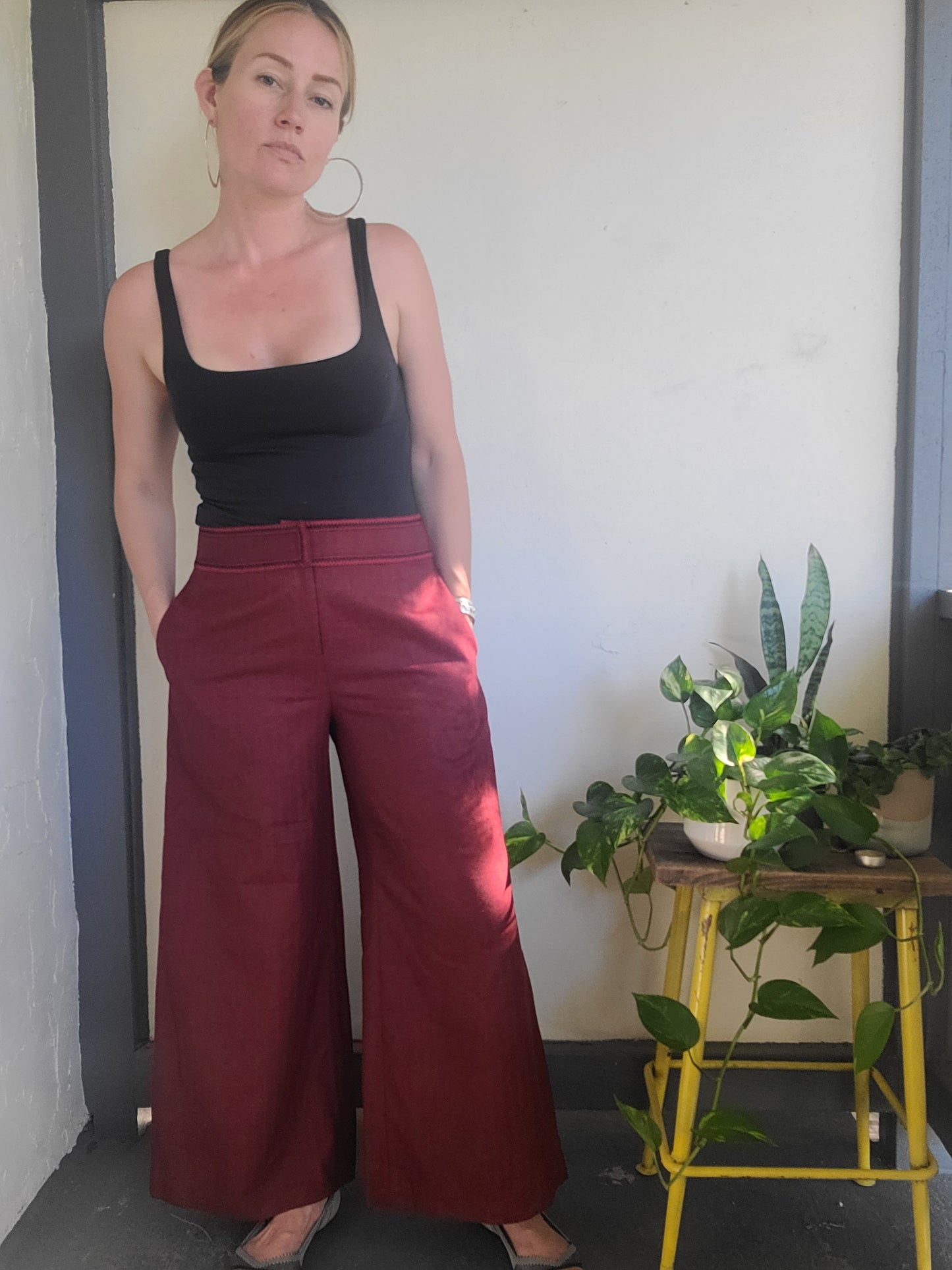 The Ruby Thin Wool Wide Leg Cropped Pants 30 NWT