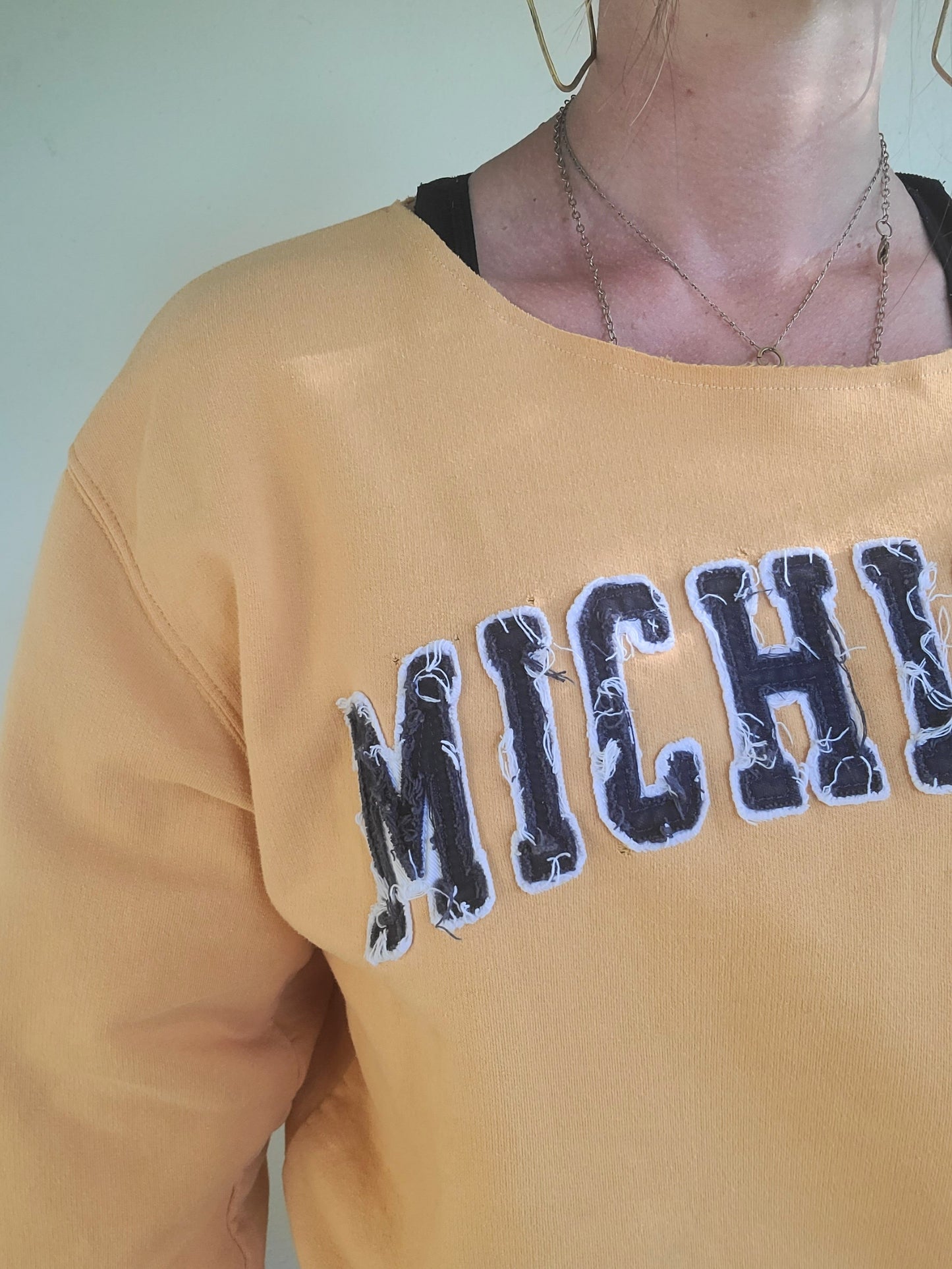 The Reworked Vintage Cotton Michigan Crewneck L