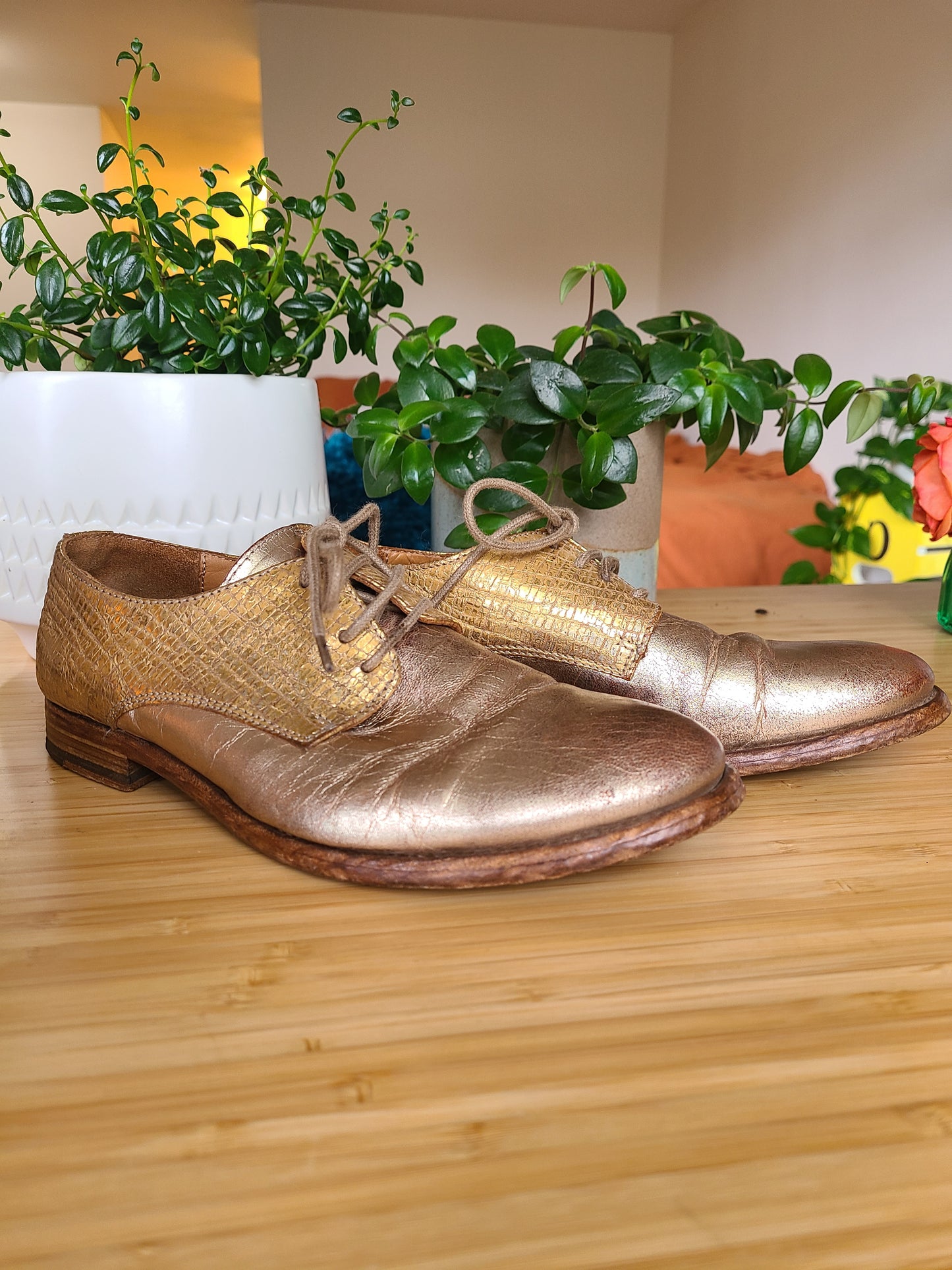 The Catarina Gold Oxfords 37