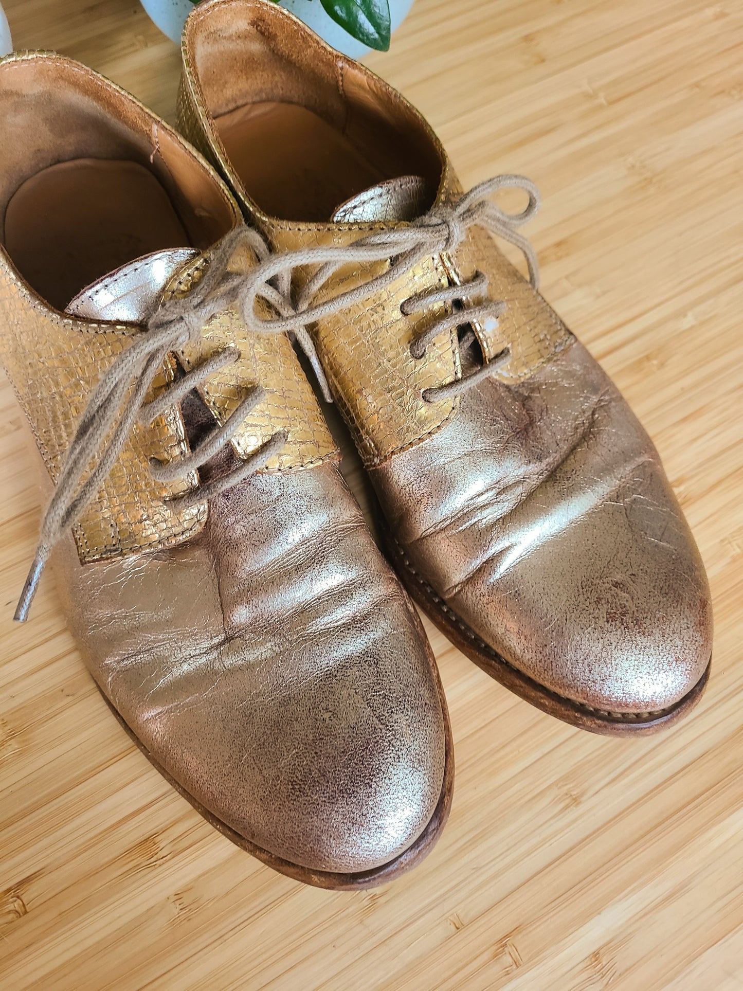 The Catarina Gold Oxfords 37