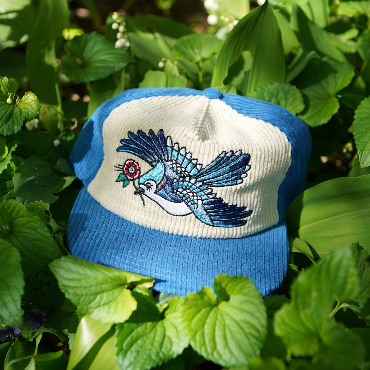 Blue Jay Two-Tone Corduroy Hat