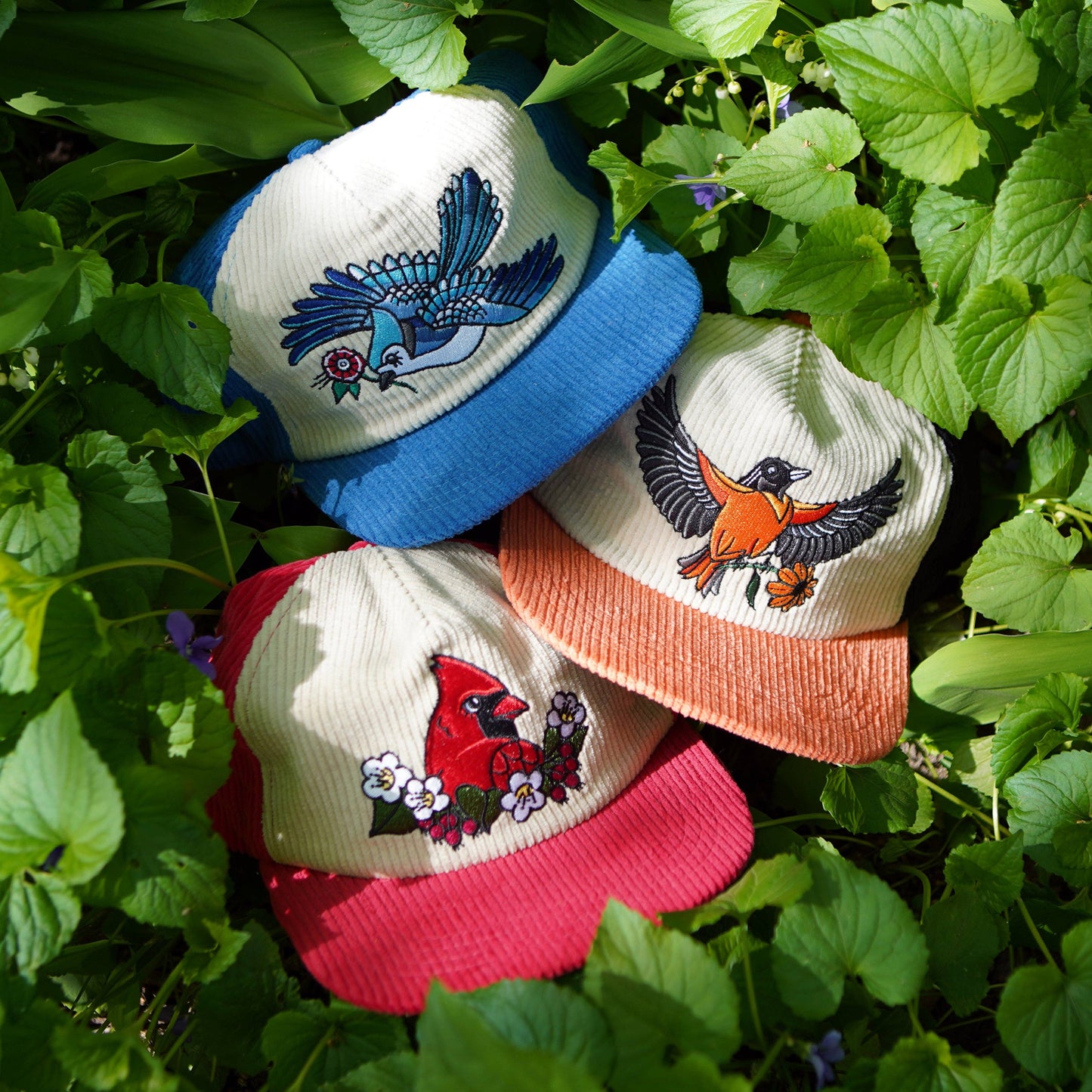 Blue Jay Two-Tone Corduroy Hat
