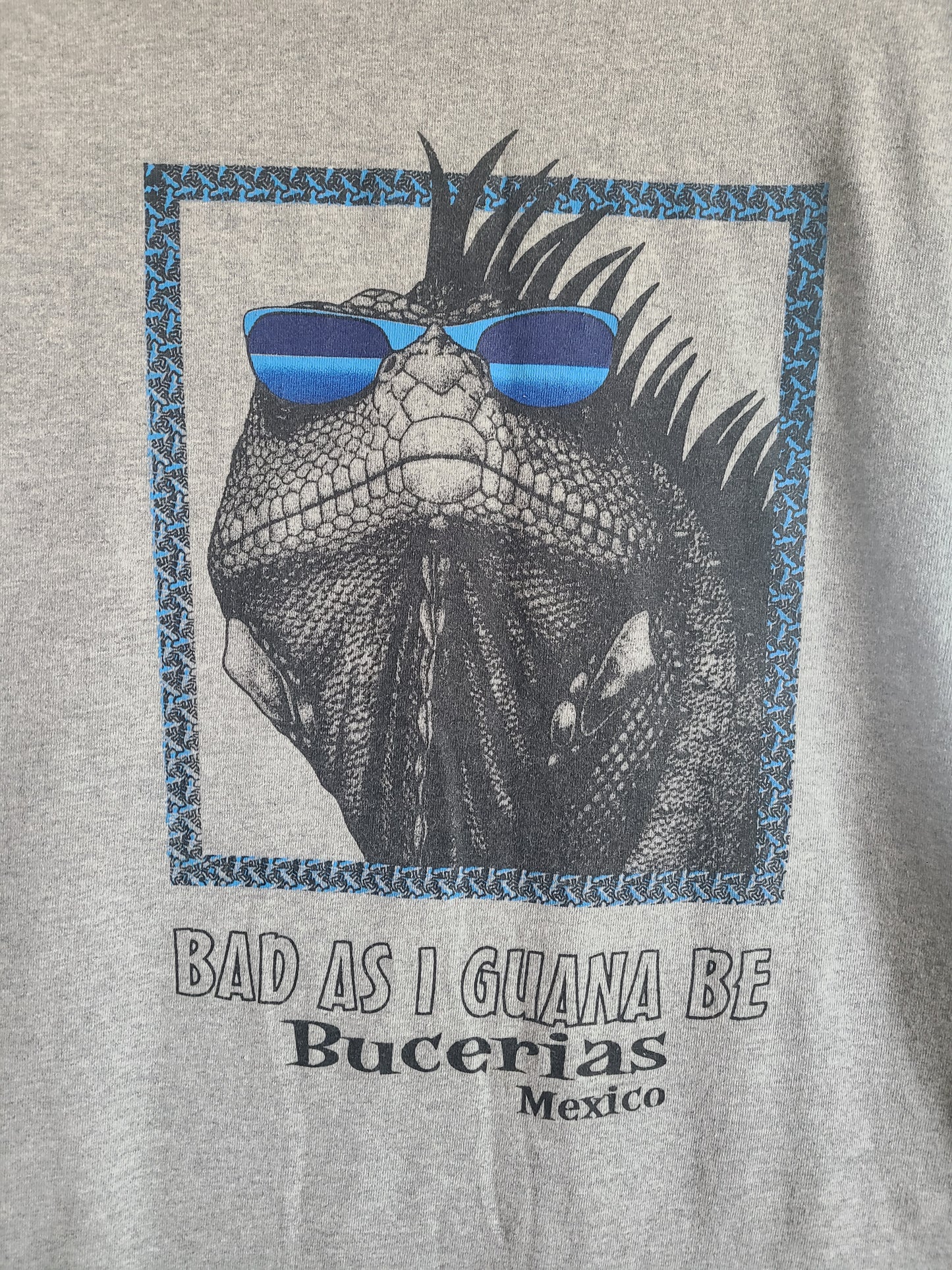 Bad As Iguana Be Novelty T-Shirt S-M